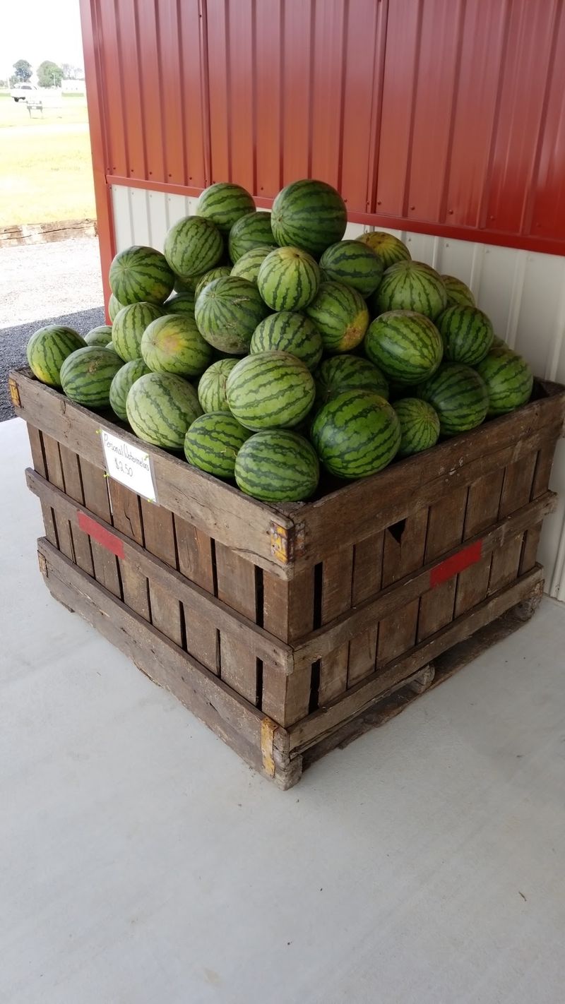 T.S. Smith Orchard Point Market