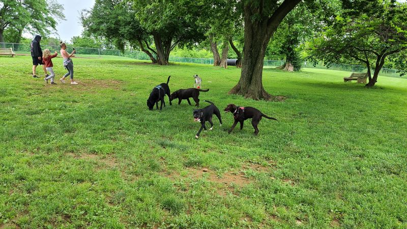 Monocacy Park Off-Leash Recreation Area