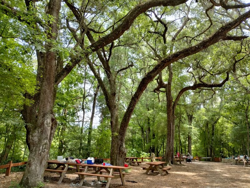 Pack a Picnic by the Springs