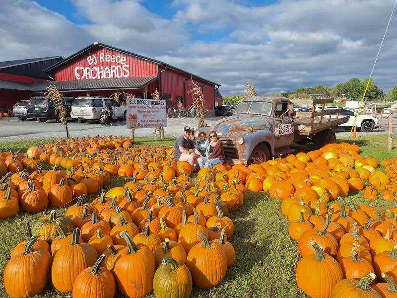 B.J. Reece Orchards, Ellijay, Gilmer County