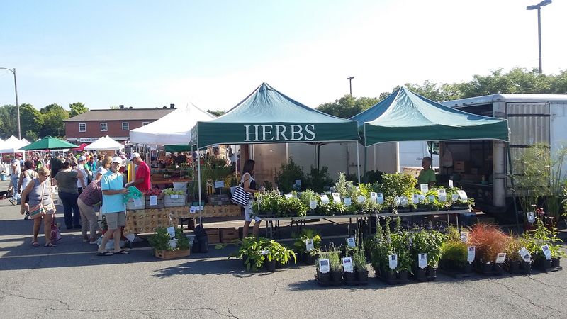 Leesburg Farmers Market - Leesburg