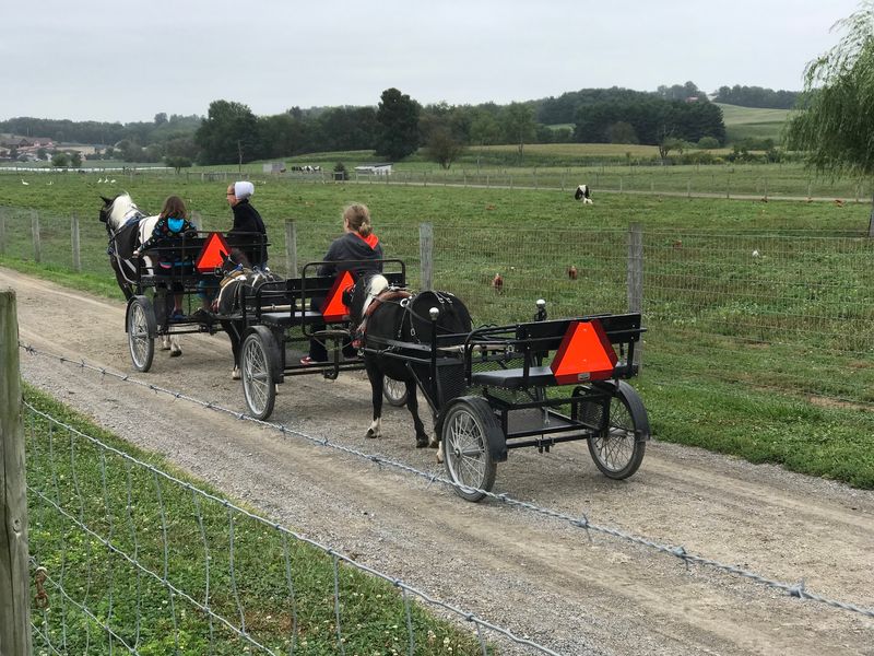 Buggy Traffic That Changes The Tempo