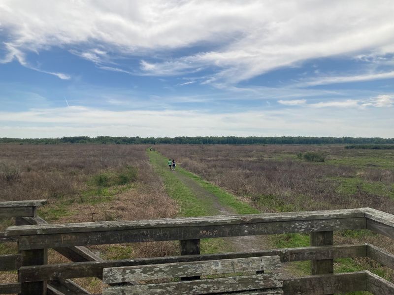 Bolen Bluff Trail - Paynes Prairie Preserve State Park