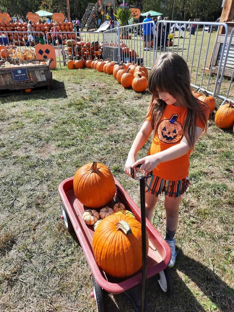 Blue Ridge Mountain Maze