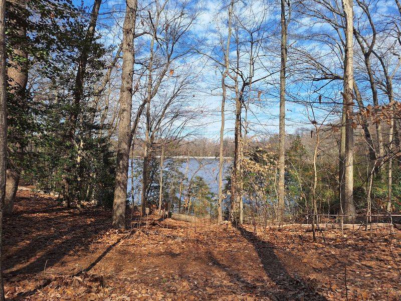 Killens Pond State Park Trails - Felton