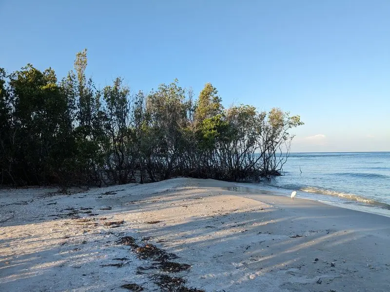 Shell Key Preserve - Tierra Verde