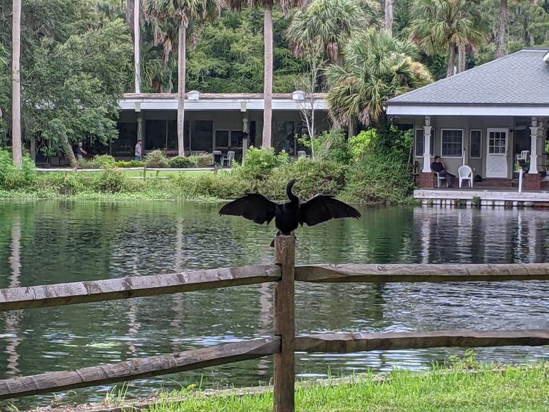 Silver Springs State Park