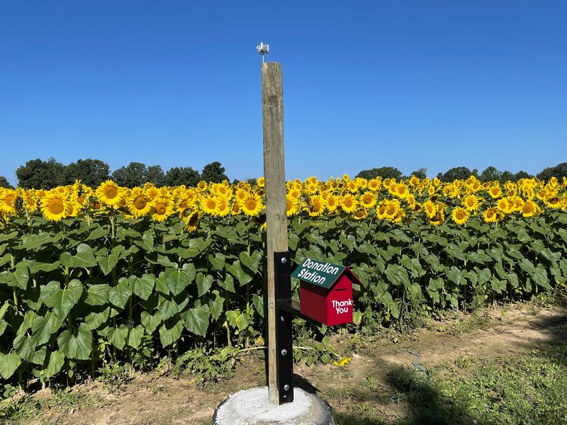 Munsell Farms - Fowlerville