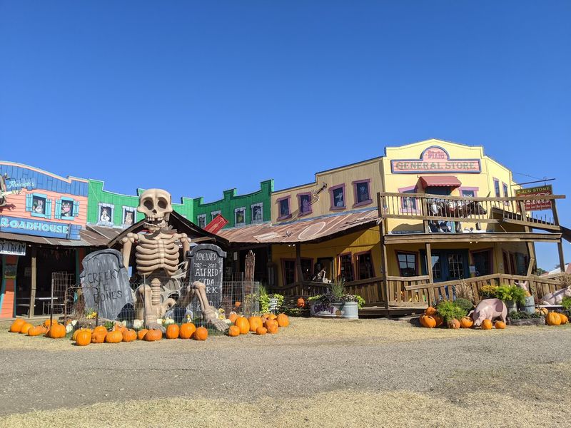 Yesterland Farm - Canton