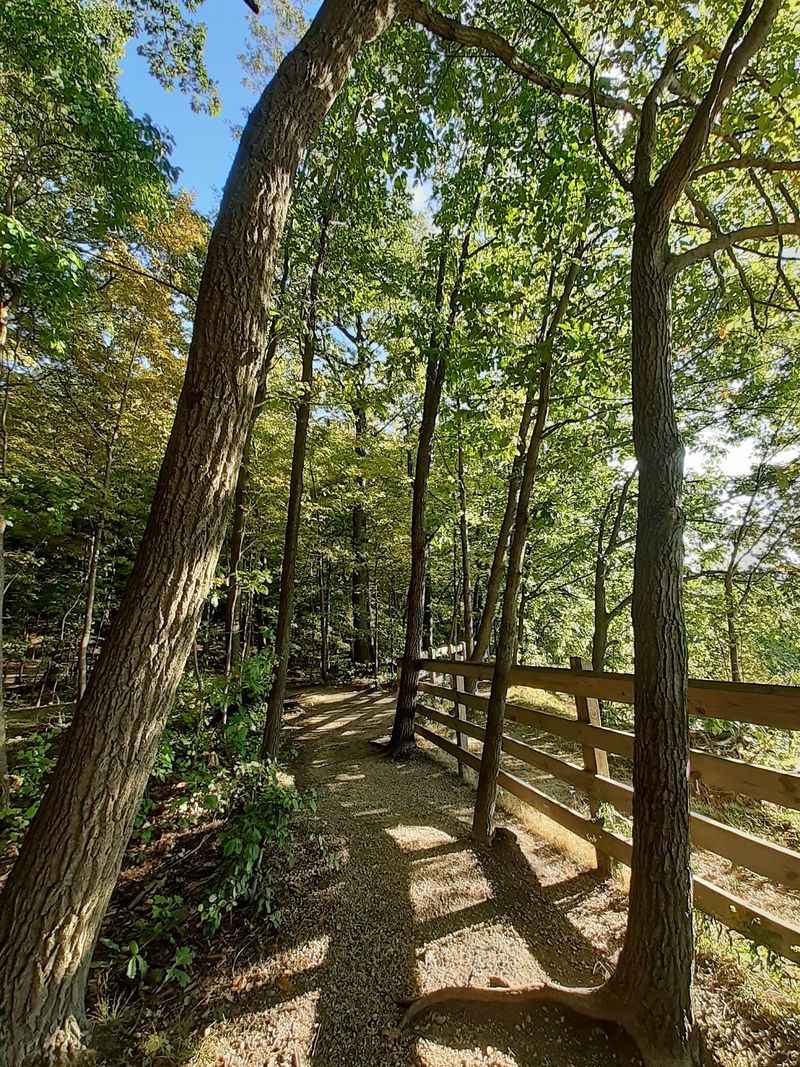 Chapin Forest Reservation in Kirtland, Lake County,
