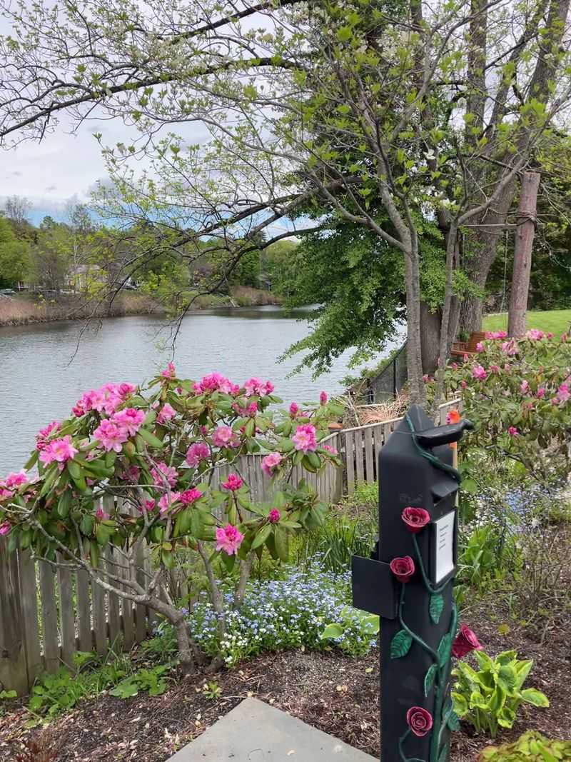 Every Season Brings Something Different To See