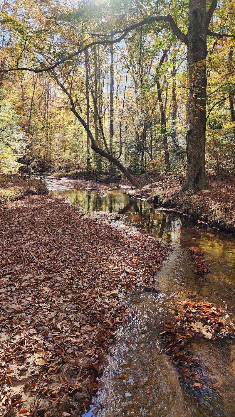 Pocahontas State Park, Chesterfield