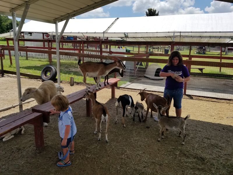Petting Zoo Ocala - Ocala