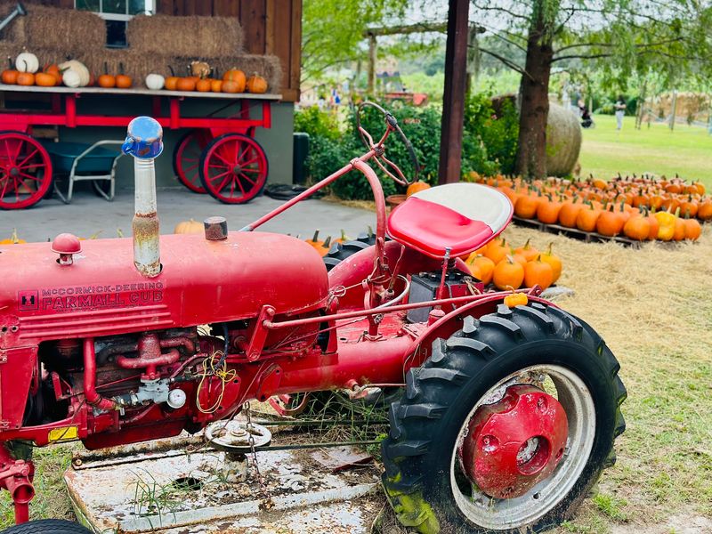 Sweetfields Farm - Masaryktown