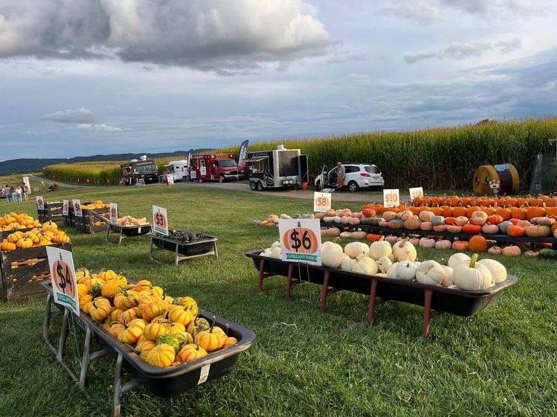 Sinkland Farms