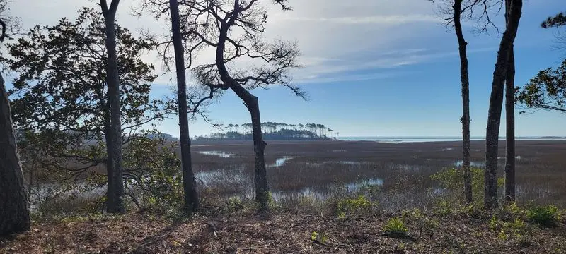 Discover the Island's Human History