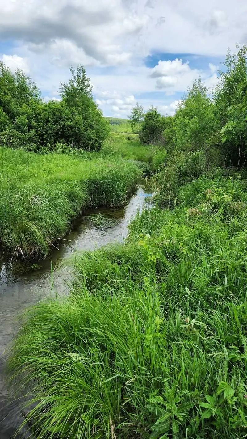 Ice Age Trail Eagle Segment, Eagle, Waukesha County