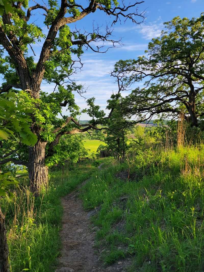 Ice Age Trail Table Bluff Segment, Cross Plains, Dane County