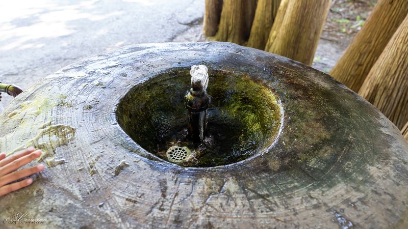Why Families Bring More Than One Jug