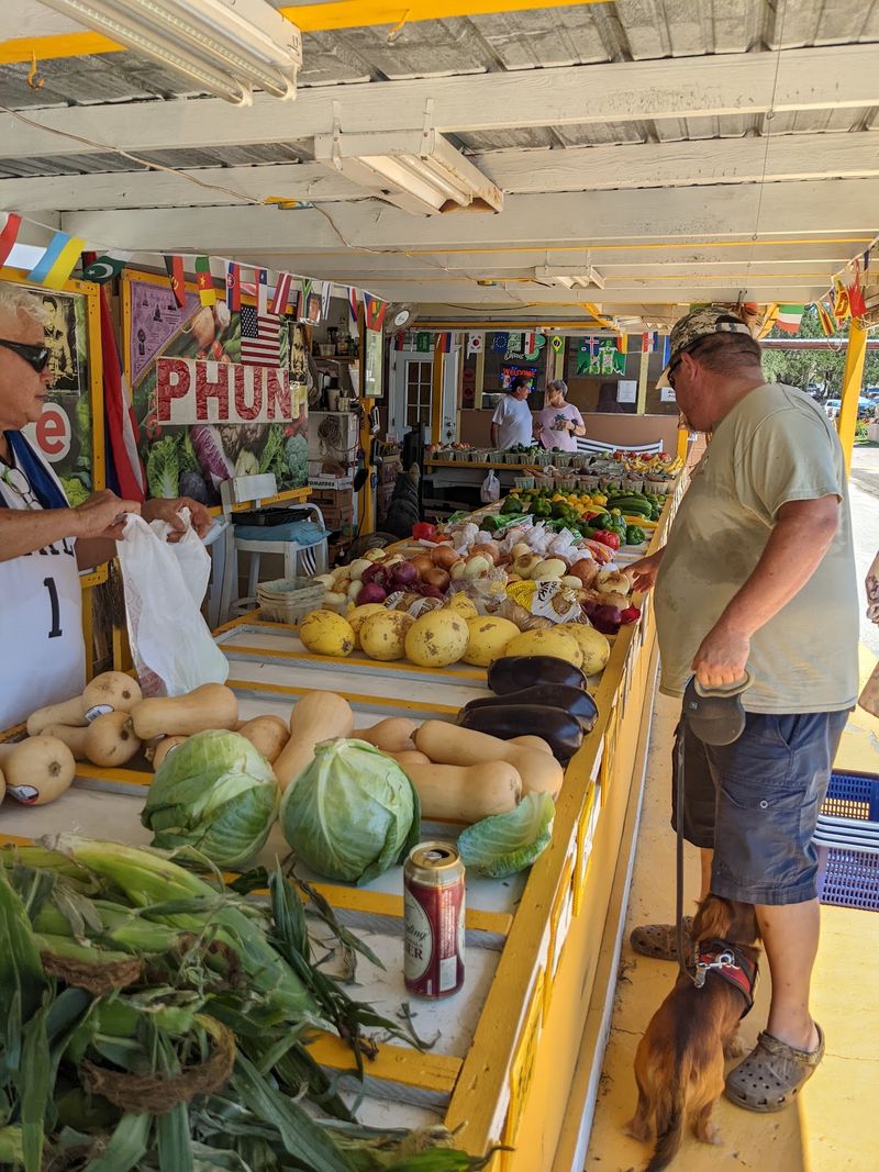 Outdoor Booths Packed With Everyday Surprises