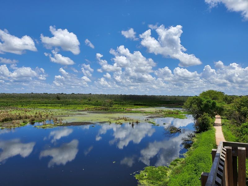 Brazos Bend State Park