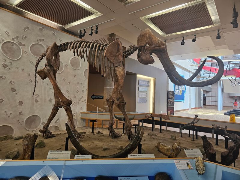 University of Iowa Museum of Natural History - Iowa City
