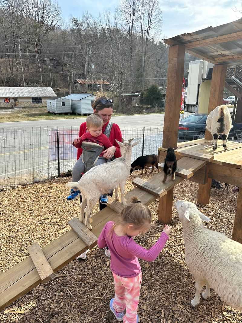 Tuckasegee Farm Animal Rescue & Petting Zoo - Bryson City
