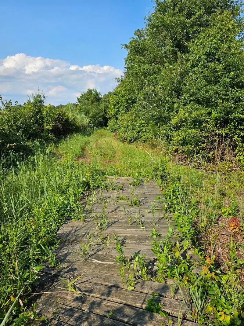 Port Penn Wetlands Trail