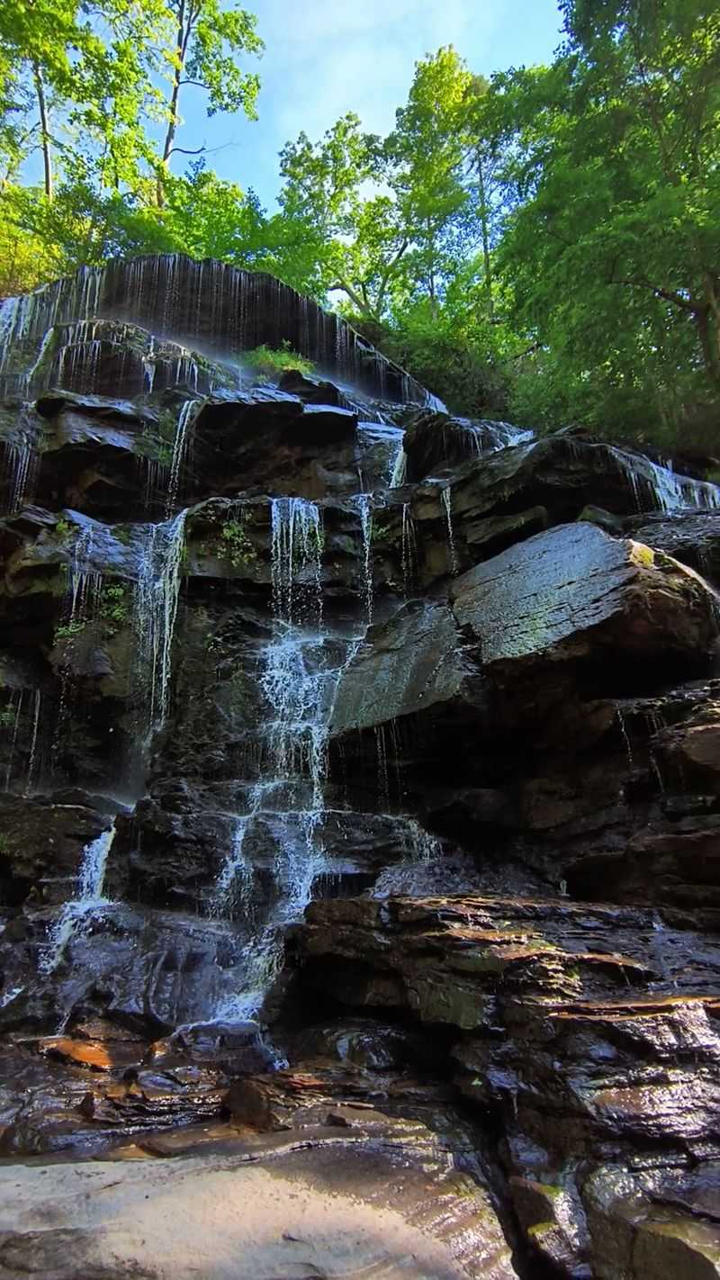 Yellow Branch Falls Trail, Walhalla, Oconee County