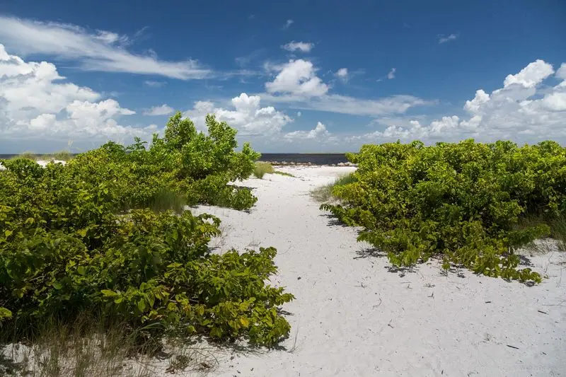 Apollo Beach Nature Preserve Observation Tower in Apollo Beach, Hillsborough County,