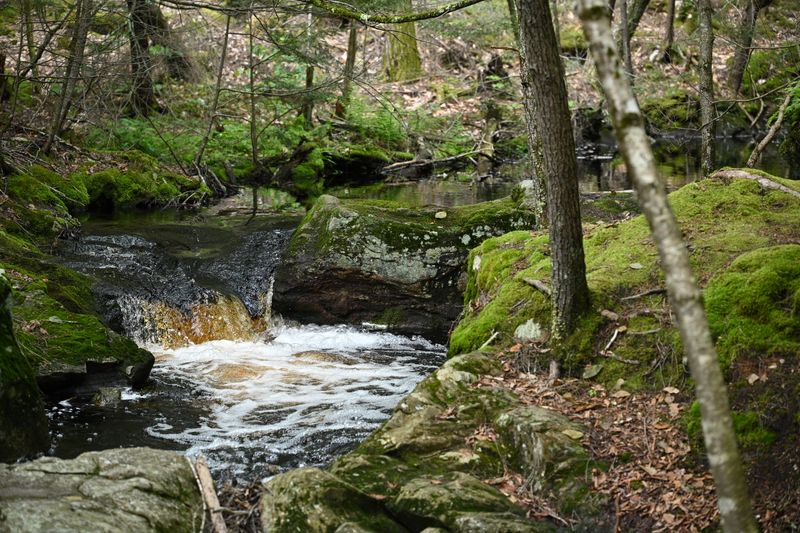 Royalston Falls, Royalston