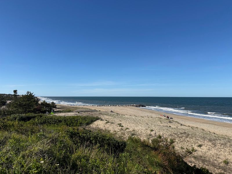 Cape Henlopen State Park Trails - Lewes