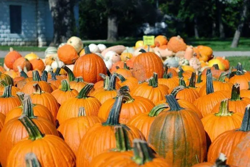 Burwinkel Farms in Ross