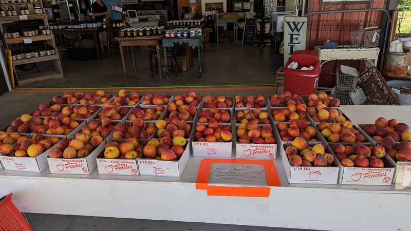 Donald Eckhardt Orchards - Fredericksburg