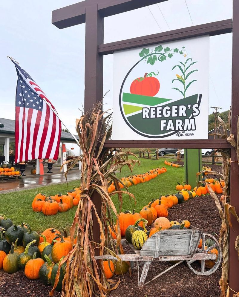 Pumpkin Festival at Reeger's Farm - Shelocta