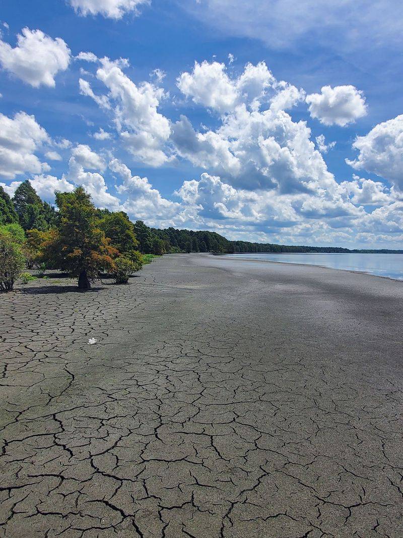 Pettigrew State Park - Creswell