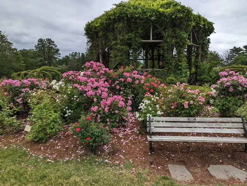 The Gazebo Gives the Garden Its Storybook Center