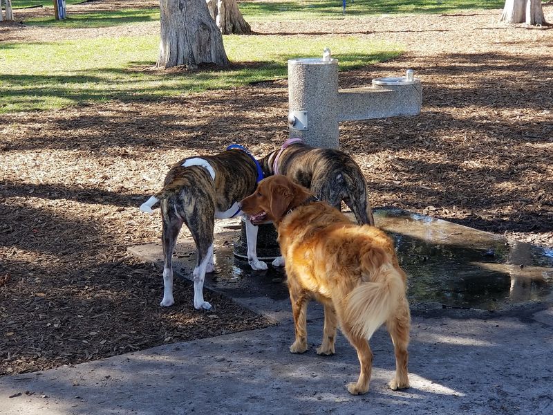 Paw Park of Historic Sanford - Sanford