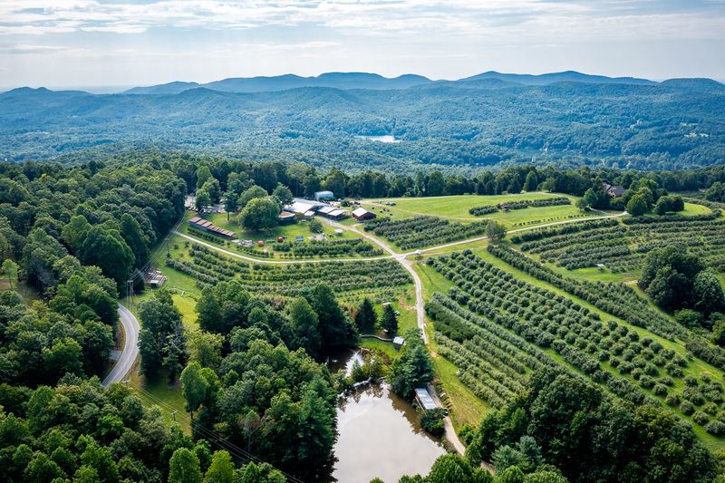 Sky Top Orchard - Flat Rock