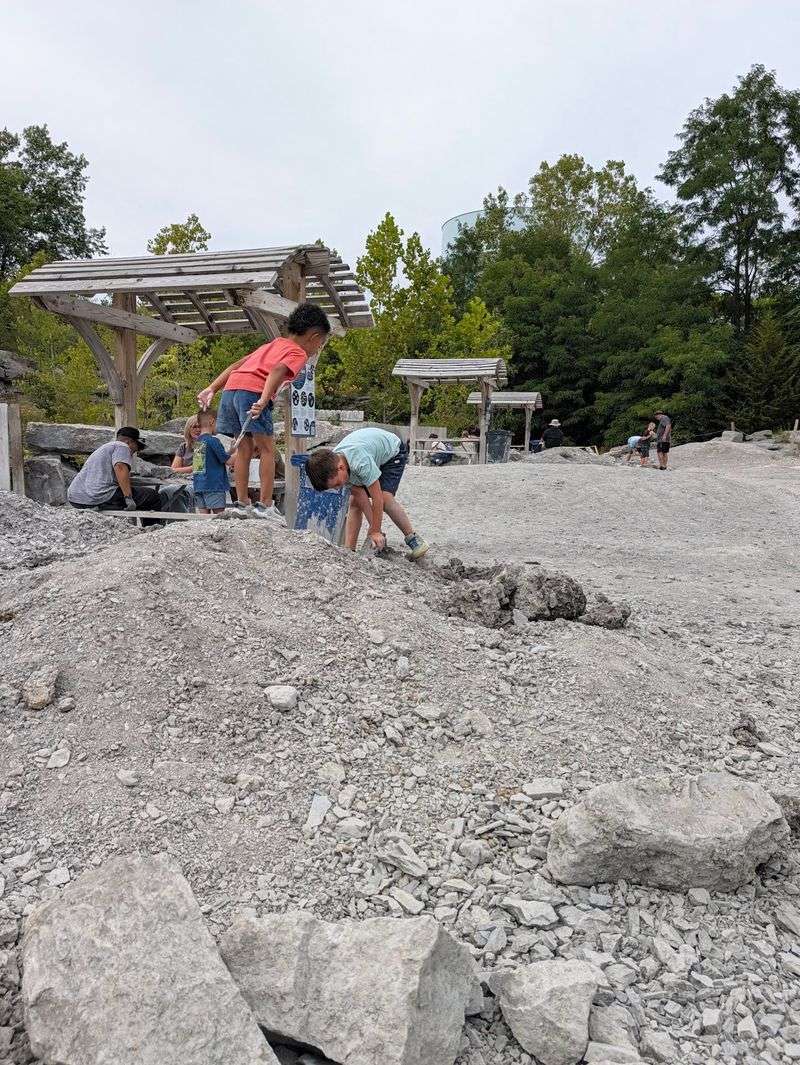A Fossil Hunt That's Designed For Families