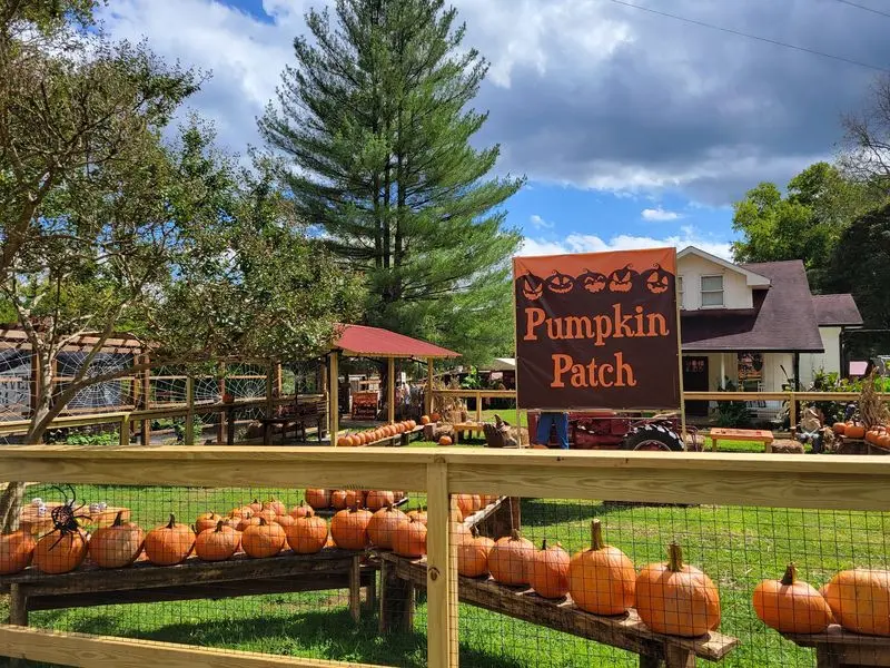 Spring Haven Farm LLC - Chapel Hill