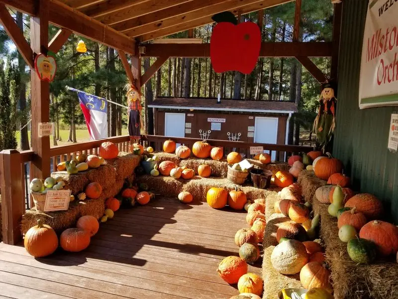 Millstone Creek Orchards - Ramseur