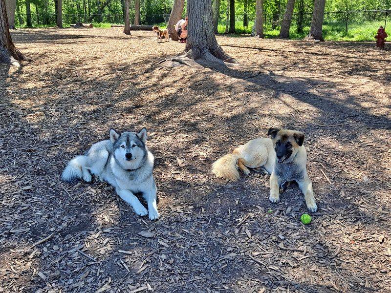 Superior Dog Park in Superior, Douglas County,