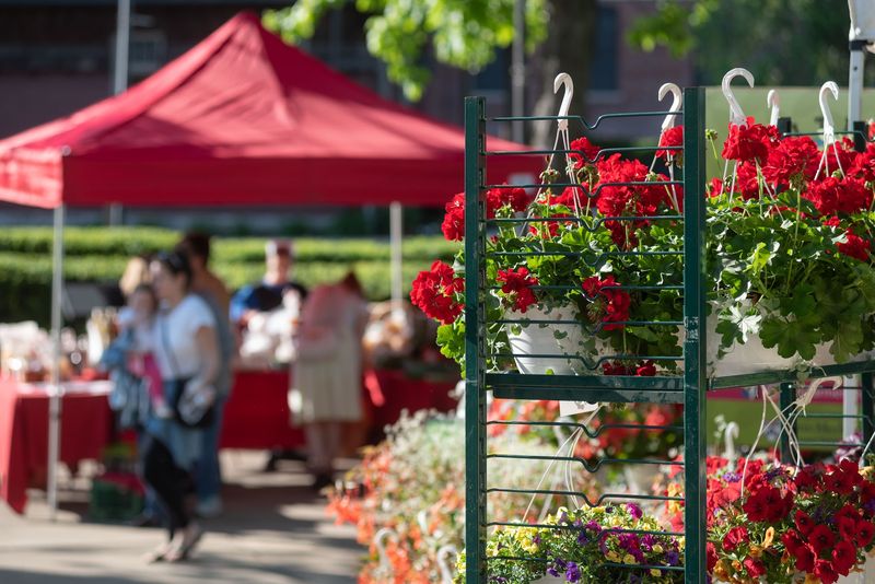 Flowers, Herbs, Crafts, and Little Surprises