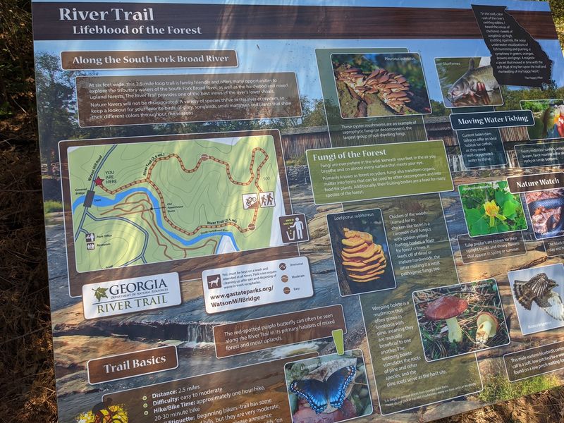 A Visitor Center With Helpful Local Know-How