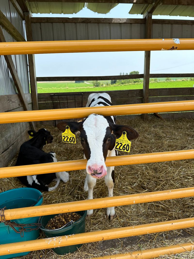 Take a Farm Tour to See Where the Story Starts
