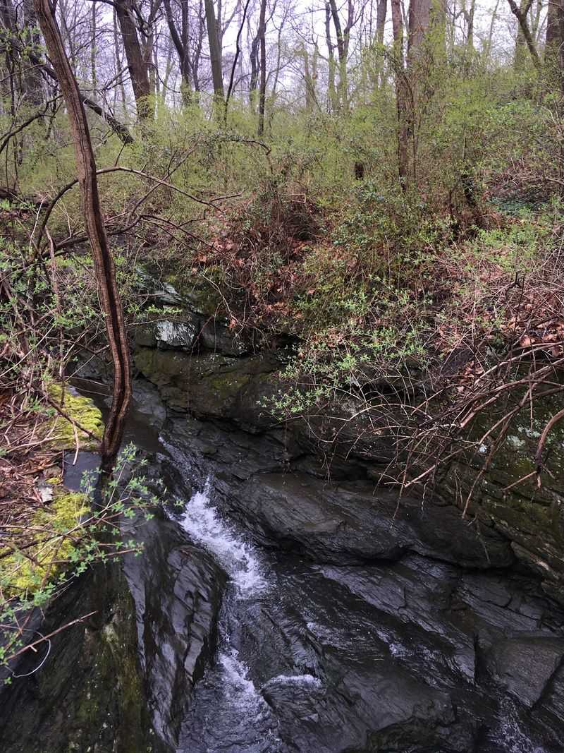 The Grotto - Philadelphia, Pennsylvania