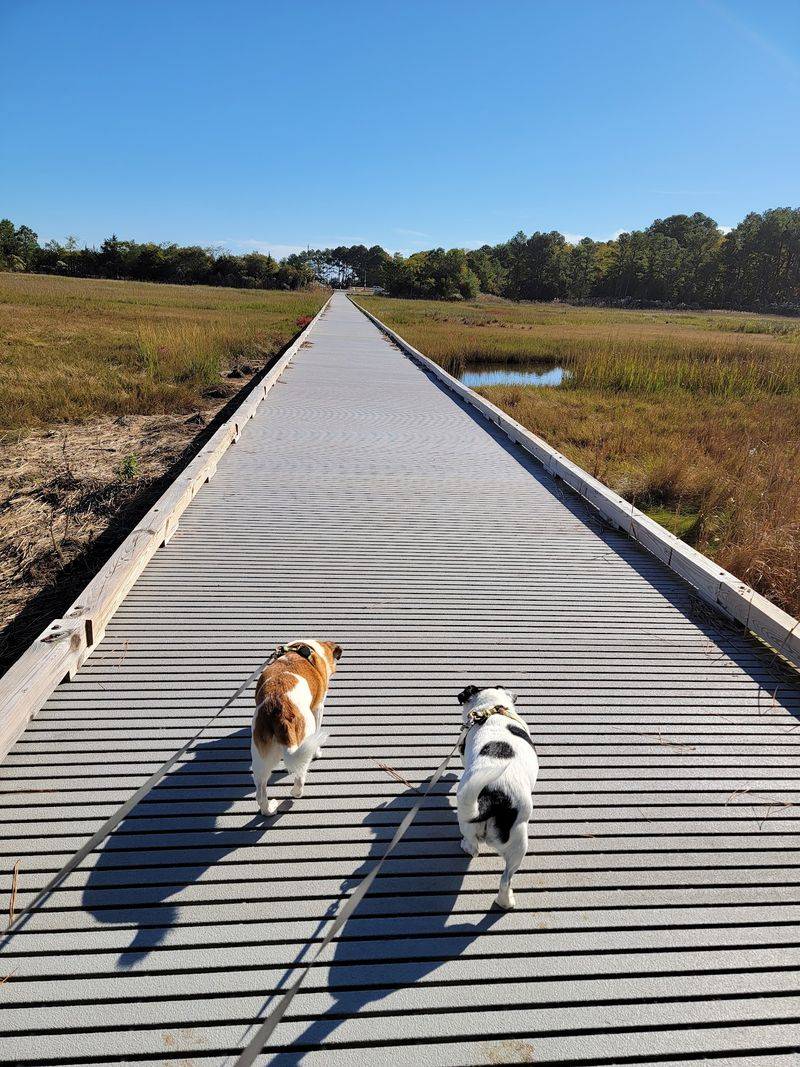 Holts Landing State Park - Dagsboro