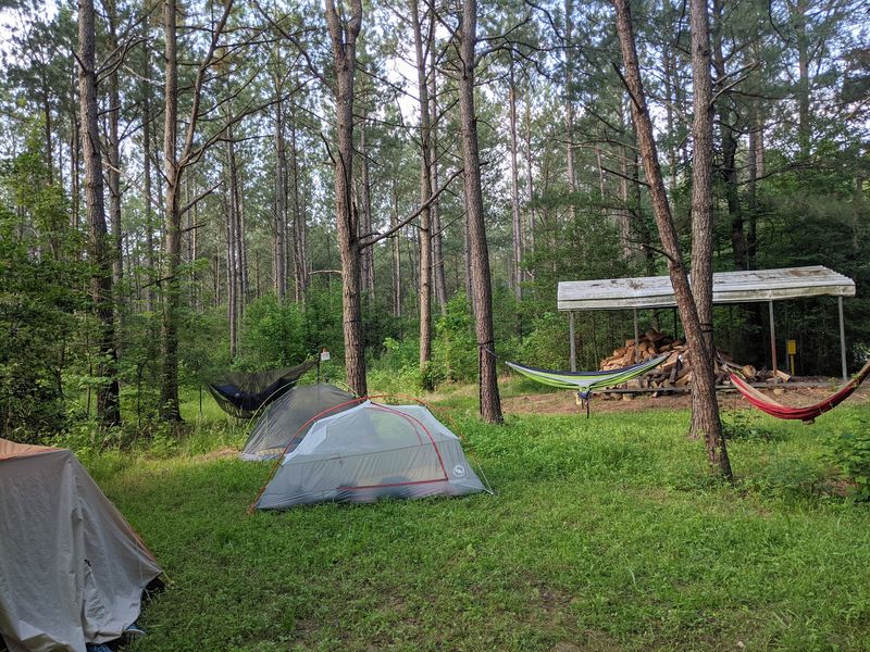 Redden State Forest - Georgetown