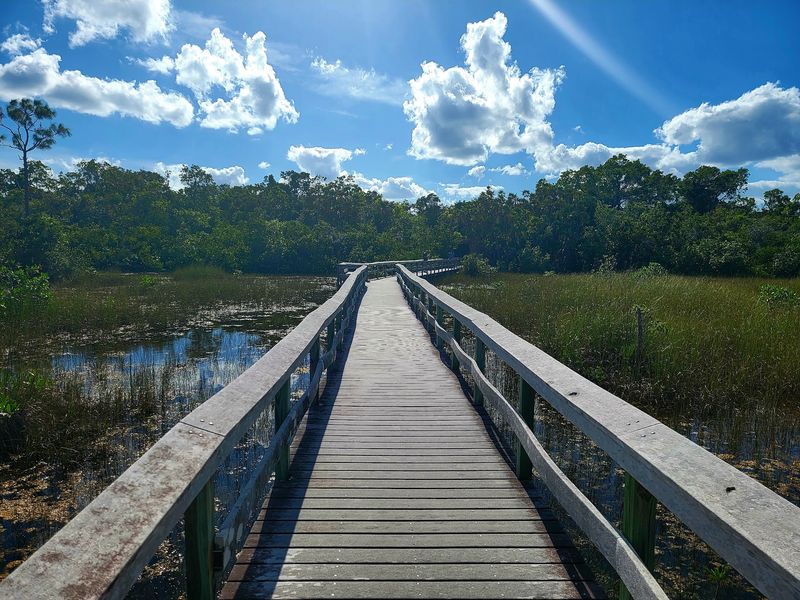 Mahogany Hammock Trail - Homestead